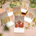 Pop-up flower bouquet greeting card set with 6 cards, envelopes and stickers - HK8017-Set of All Styles