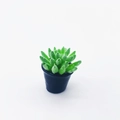 Miniature dollhouse succulent with green leaves in a black pot on a white background - 13mm*23mm / Black Pot Green Succulent