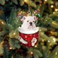 Bulldogge im roten Weihnachtsstrumpf mit leuchtendem Geweih für Christbaumschmuck - Weiße Bulldoggen-Figur