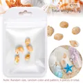 Set de 6 conchas marinas naturales para decoración de uñas en bolsa perlada - C111-Caracola Pequeña