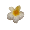 Glittery 4cm frangipani flower hair claw clip with yellow gradient resin petals - Frangipani Hair Clip / White