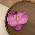 Detalle de una pinza para el pelo con orquídea fucsia realista sobre una base de madera - 1# Flor Rojo Rosa / Rosa Rojo