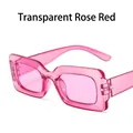 Retro square jelly color sunglasses in transparent rose red with thick resin frames - Transparent Rose Red