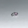 Titanium steel horseshoe earring with sparkling pink purple and white zircon inlay - Pink + White Zircon