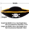 Goldverzierter Piratenhut / Gold