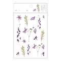 Iris botanical series PET flat sticker set for journal decorating and DIY crafts. - Iris