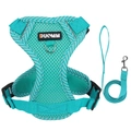 Mint green breathable mesh cat harness and leash set with reflective trim and secure buckle - Minimalist Blue