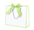 White gift bag with green trim, satin bow decoration and silver braided rope handles - Bowknot Decoration Style / 28x20x10cm / White with Apple Green Frame