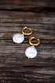 Baroque irregular freshwater pearl earrings with gold stainless steel hoops on wood - 4*12 Pearl Earrings / Gold