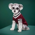 Gilet en tricot bordeaux pour chien avec col en V et rayures de style universitaire chic - XS / Bordeaux