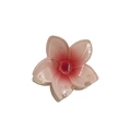 Pink gradient frangipani hair claw clip with transparent glitter finish for women - Maple Leaf Claw / Red