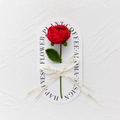 Handmade crochet red rose with a gold-lettered beige ribbon and premium card packaging - Rose Red