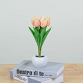 Detail of pink LED tulip night light in a white ceramic pot on decorative books - 6 Heads-Champagne-Battery Style
