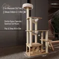 Multi-layer wooden cat tree with dual space capsules and sisal posts, 1.46m height - Advanced Version