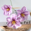 Open Tulip Purple