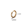 Classic 12mm rose gold titanium steel hoop earring with 2.5mm thick polished finish - 2.5*12mm Gold (Single)