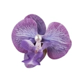 Detail of purple silk orchid hair clip featuring delicate veins and a central pearl - Purple