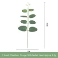 Detailed size chart of artificial eucalyptus leaf showing 30cm height and 9cm width - 4 Leaves With Tip (Mixed Sizes)