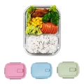 Rectangular glass lunch box with compartments and pink, blue, and green lids - Rectangular 2-Grid 650ml