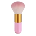 Pink gradient makeup brush with gold ferrule and pink handle on white background - Big Chubby Pink Gold Pink Hair (With Net)