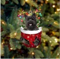Weihnachtssocken-Hundeanhänger mit schwarzem Terrier und festlichem Rentiergeweih - Schwarzer Terrier