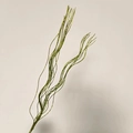 Sparkling green glitter artificial branch stem for festive Christmas decor - Without Berries / Green