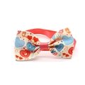 Detailed macro view of heart pattern and LOVE lettering on colorful pet bow tie - Style 1-Colorful Love Hearts