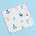 Soft cotton baby washcloth with succulent print pattern in 30x30cm size - [small Potted Plants]