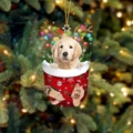 Golden Retriever Puppy (23)