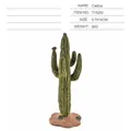 Modello di cactus Saguaro per diorami animali, pianta del deserto realistica 5,7x14cm - Cactus a Colonna (T15253)