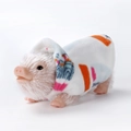 Realistic white silicone piglet doll wearing colorful geometric patterned clothing - Style 1 Skin Color Pig with Curly Tail