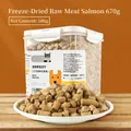 500g gevriesdroogde zalm snacks voor katten in pot, hoogwaardige kattenvoeding - Zalm rauw vlees