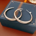 Detail van zilveren C-vormige oorringen met zirkoon op een luxe sieradendoosje - Zilver