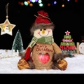 Christmas snowman gift bag with heart window and green scarf for candy and apple packing - Transparent Heart Apple Bag Snowman