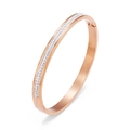 Elegante roségouden titanium stalen armband met dubbele rijen fonkelende kristallen - 6mm Twee Rijen Witte Zirkonia / Roségoud