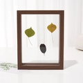 Double-sided glass specimen photo frame with walnut wood finish and leaves - Dark Brown