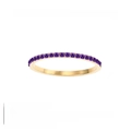 14K gold plated stainless steel birthstone ring with 22 purple amethysts for June - June Purple - Gold