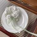Detailed macro of floral lace scrunchie with green gingham ribbon bow on ceramic plate - Lace Trim White