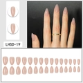 Glossy almond-shaped press-on nails in nude pink color with full 24-piece set layout - Pale Pink Style (LHSD-19)