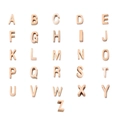 Set mit 26 roségold polierten Alphabet-Anhängern aus Edelstahl auf weißem Hintergrund - Buchstabe R / Roségold