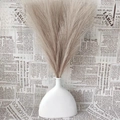 Artificial pampas grass bouquet with 43cm brown reeds in a minimalist white ceramic vase - 43-45cm 7 Forks / Brown