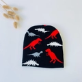 Flat lay of black knitted baby beanie with colorful dinosaur patterns and rabbit tail grass - Black with Red Dinosaur (5061509487931)