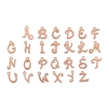 Set of 26 rose gold stainless steel alphabet letter charms for necklaces and bracelets - Letter B / Rose Gold