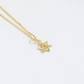 Collana chic dorata con pendente a stella e zirconi scintillanti su catena sottile - Esagramma (Liscio)