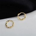Elegant gold plated S925 sterling silver twisted wave hoop earrings for women - EH0403/Gold Twisted Irregular Hoop