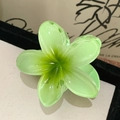 Pince à cheveux fleur de frangipanier en résine avec un dégradé de vert frais - Vert