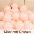 Matte finish macaron orange latex balloon set for high-end party and wedding decoration - 10 Inch/1.5g/100 Pieces / Macaron Orange