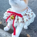 Plaid pet bandana featuring red bow and gold bell for dogs and cats in white - Christmas Style D (White Print Red Bow)