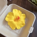 Dettaglio del fermaglio per capelli a fiore in acrilico giallo con stame rosso - Giallo