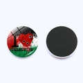 Magnete da frigo in vetro cristallo bandiera Palestina con retro magnetico nero - Stile 2